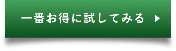 一番お得に試してみる