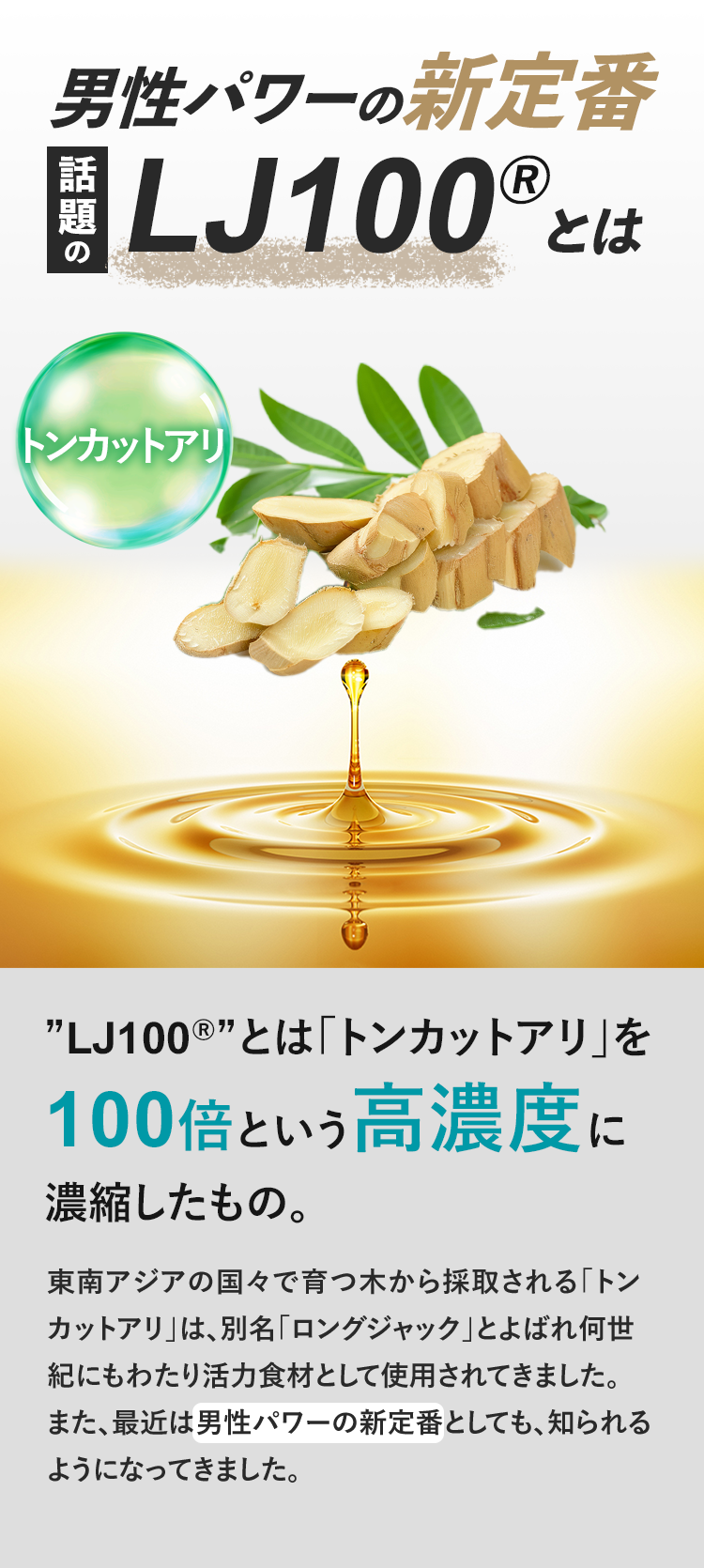 男性パワーの新定番